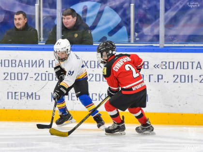 Пермские организации получат поддержку президентского фонда в 63,2 млн рублей