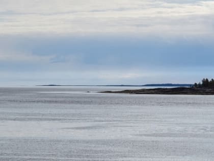 Подрядчик обновляет команду: в Прикамье могут расторгнуть концессию на ремонт Чусовского моста