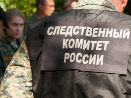 В Пермском крае осудят мужчину, который до смерти избил родную мать