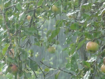 Прогноз погоды в Пермском крае с 27 по 30 июня