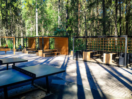 В Балатовском парке Перми вместо незаконных киосков высадят крупномерные деревья