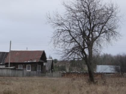 Глава Кудымкарского округа Наталья Стоянова провела выездной прием жителей деревни Бормотова