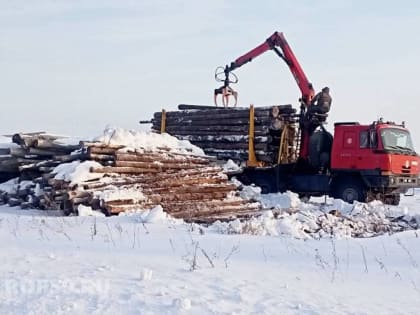 В Прикамье инициативные жители села нашли применение бесхозному лесу