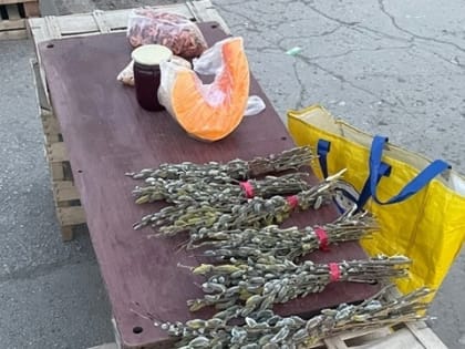 Роспотребнадзор: как избежать ботулизма - советы, на что обратить внимание