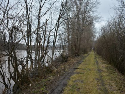 ​В Пермском крае приостановлено движение по мосту из-за подтопления