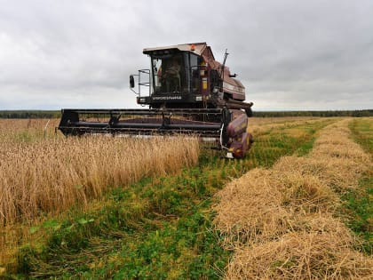 В середине февраля в Перми пройдет форум «Агротехнологии»