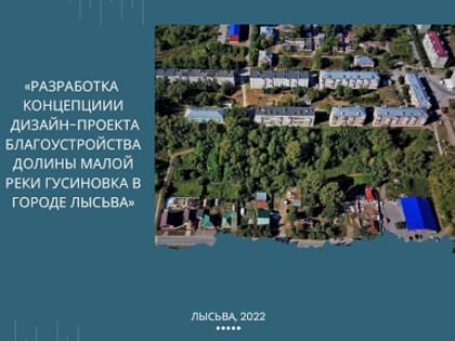 «Разработка концепции дизайн-проекта благоустройства долины малой  р. Гусиновка в г. Лысьва»