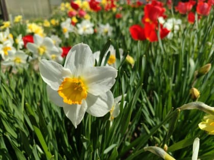 Июль 2023 года: анализ температуры и погодных аномалий