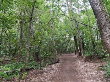 Парламентарии поддержали предложение страховать жизнь и здоровье охотинспекторов Пермского края