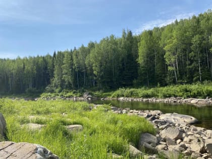 ​Мошенники собирают деньги за помещение природных территорий в Пермском крае