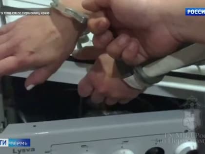 Жительница Соликамска, хранившая наркотики в газовой плите, предстанет перед судом