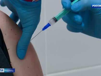 В поликлиники края начала поступать вакцина от клещевого энцефалита