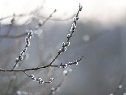 В Перми 10 мая стал самым холодным днём за 22 года