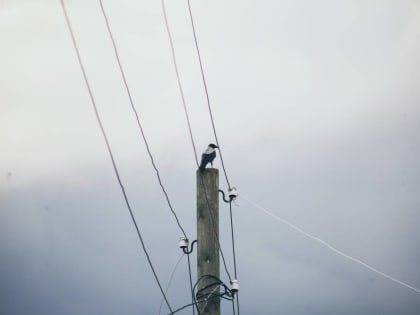 ​Пермский застройщик пожаловался на нарушение сроков по подключению дома к электросетям