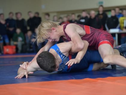 Соревнования по борьбе в Перми привлекли внимание спортсменов