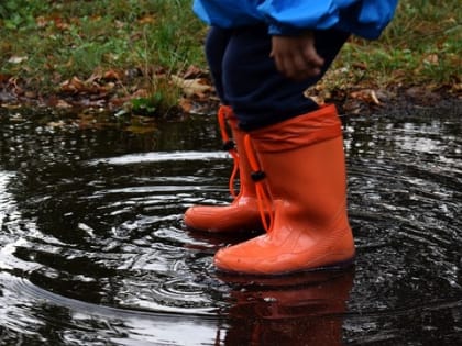 Прогноз погоды в Пермском крае с 20 по 23 июня