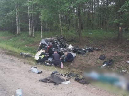 В Пермском крае в ДТП с большегрузом погибли пять человек