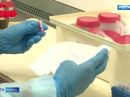 В Прикамье за сутки выявлено 170 случаев COVID-19