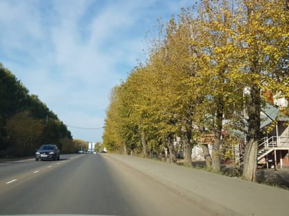 На участке по Васильева в Перми установят специальную зону для реализации инвестпроекта