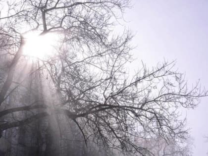 ​Прокуратура через суд добилась создания новых пунктов контроля состояния воздуха в Перми