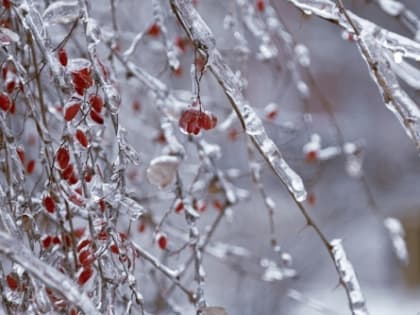 Синоптики поделились прогнозом на неделю в Прикамье