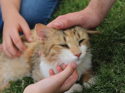 Новые инициативы по улучшению здоровья населения