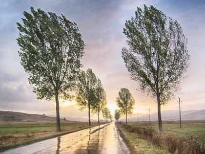 В выходные в Пермском крае ожидается потепление до +17 градусов