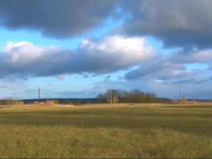 В Пермском крае местами 20 апреля ожидаются грозы с сильным ветром