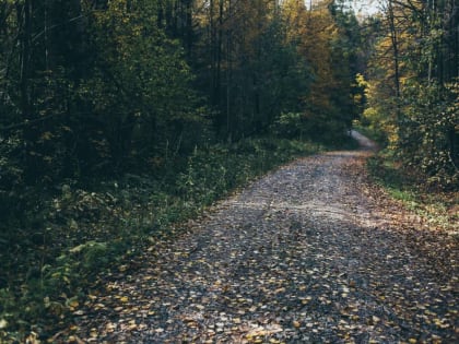​Проект строительства в Перми визит-центра ООПТ получил разрешение на строительство