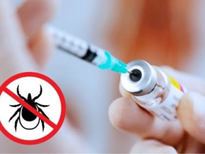 Жителям Пермского края рекомендуют пройти вакцинацию от клещевого энцефалита