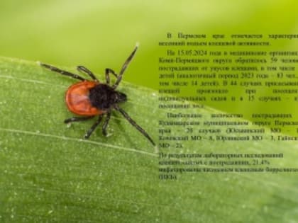 Обращаем внимание, что вся территория края является эндемичной по клещевому вирусному энцефалиту, не стоит употреблять сырое молоко коз, овец, коров.