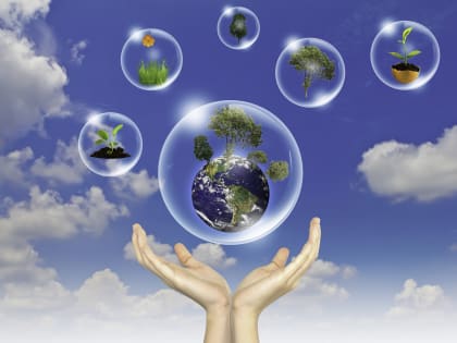 Российские айтишники снизят экологические риски в Узбекистане