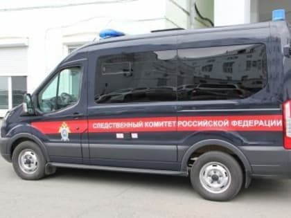 В СК рассказали, как девочка выпала с 11-го этажа в пермском ЖК «Авиатор»