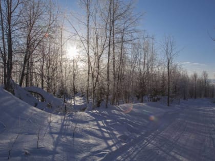 ​Температура воздуха в Пермском крае опустилась ниже -38 градусов