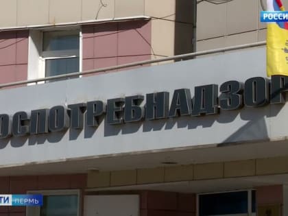 Управление Роспотребнадзора: качество воздуха соответствует гигиеническим нормативам