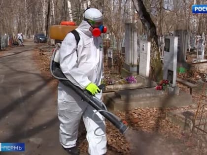 К концу недели число пострадавших от укусов клещей в Прикамье перевалило за две тысячи