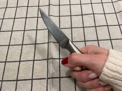 В Москве школьница спасла жизнь мальчику ударом ножа