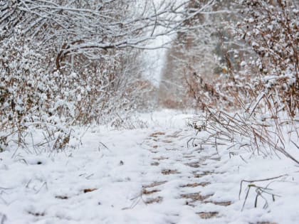 ​Метеорологи рассказали о погоде в Пермском крае на предстоящие выходные