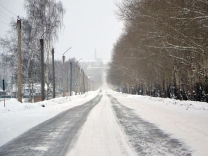 Администрация обрежет тополя в Кудымкаре после суда