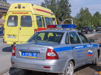 40 нарушений правил дорожного движения совершено пешеходами