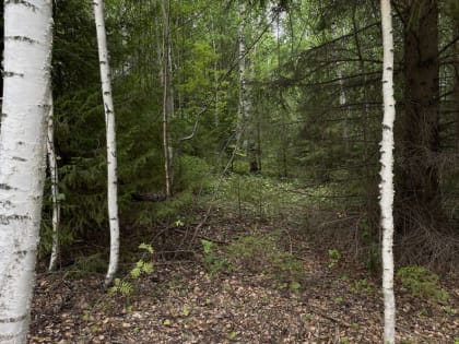 Завершены поиски 18-летнего юноши из Перми, пропавшего на перевале Дятлова