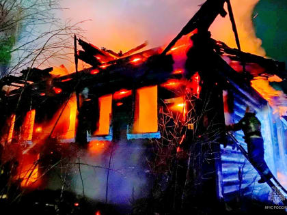 На пожаре в Пермском округе погиб местный житель