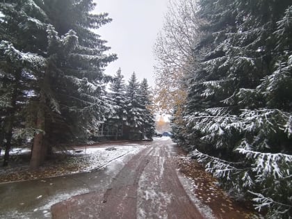 В Пермском крае на неделе потеплеет до +9 градусов