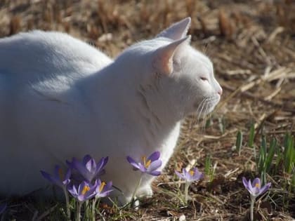 В Пермском крае началось короткое потепление