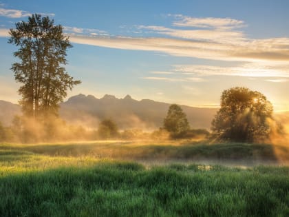 Уважаемые жители округа, просим ознакомиться с памятками по профилактике сезонных инфекций