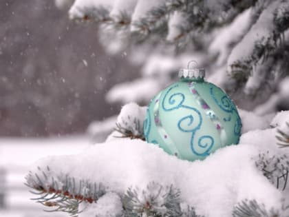 Информация синоптиков на начало следующей недели