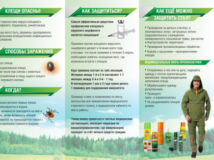 Управление Роспотребнадзора рекомендует жителям Соликамского городского округа сделать прививку от клещевого вирусного энцефалита