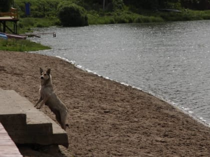 ​Приток воды в Камское водохранилище упал до рекордно низкого уровня