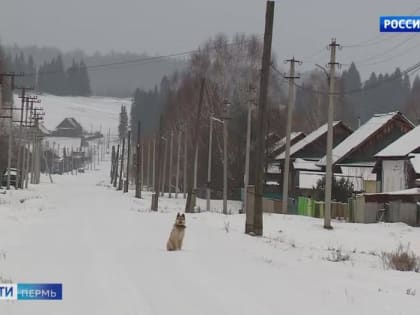 МЧС предупреждает о неблагоприятных погодных явлениях