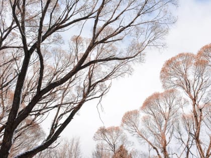 ​В Пермском крае метеорологи зафиксировали первую в этом сезоне грозу